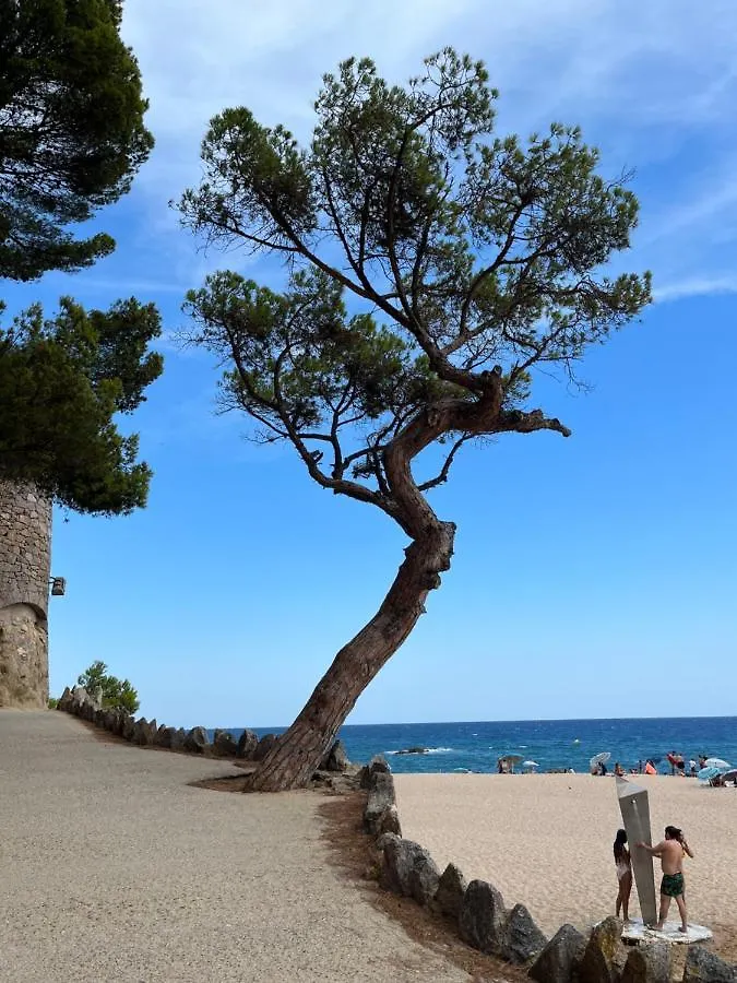 Appartement Apartamento 50M Playa Con Aire Acondicionado Y Pk Castell-Castell-Platja d'Aro Espagne